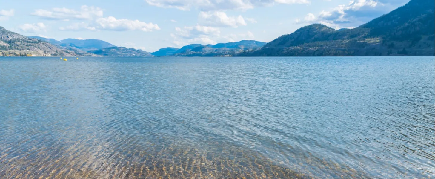 Lake City Cleaners website